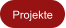 Projekte